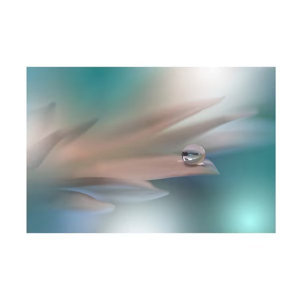 Juliana Nan 'White Symphony' Canvas Art, 30x47, Trademark Fine Art, Mfr#: 1X14683-C3047GG